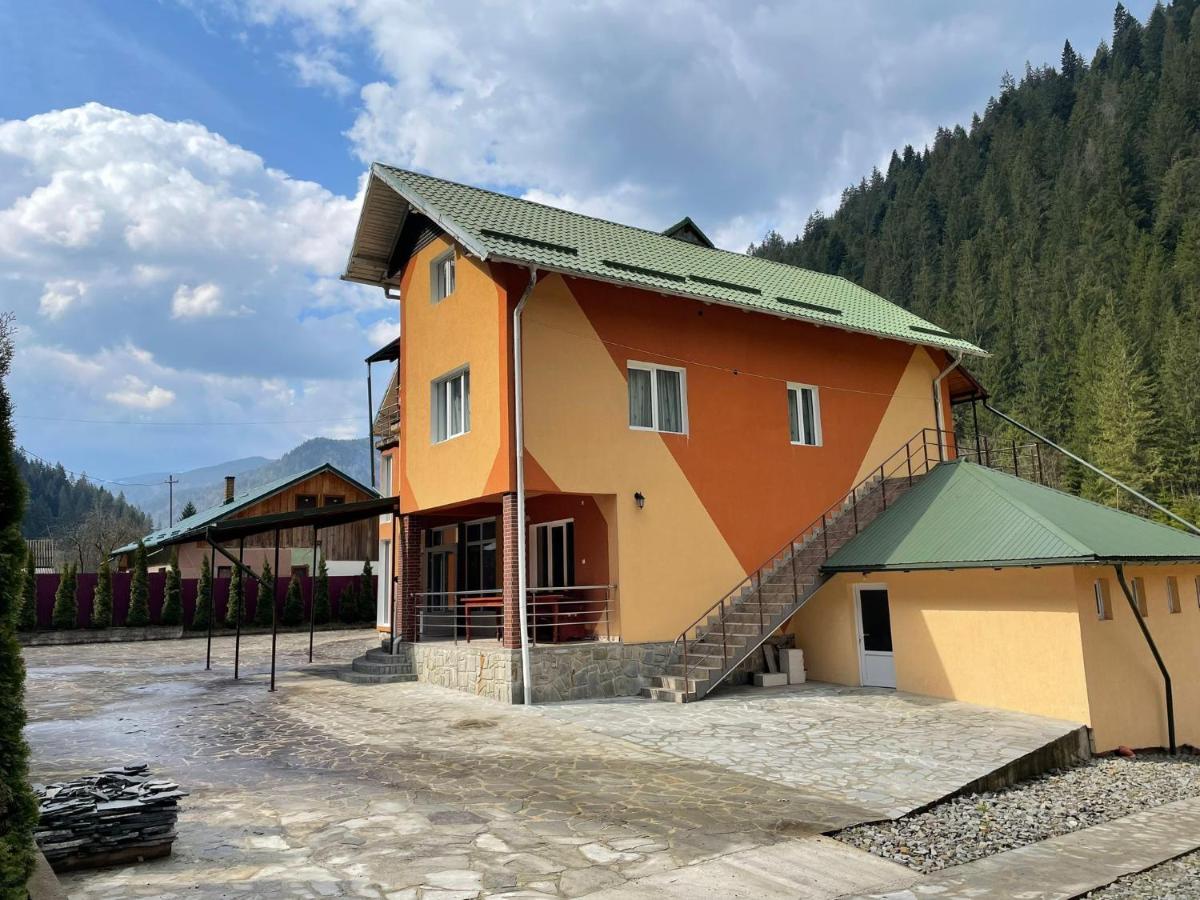 Pensiunea Pe Drumuri De Munte Borca Екстериор снимка